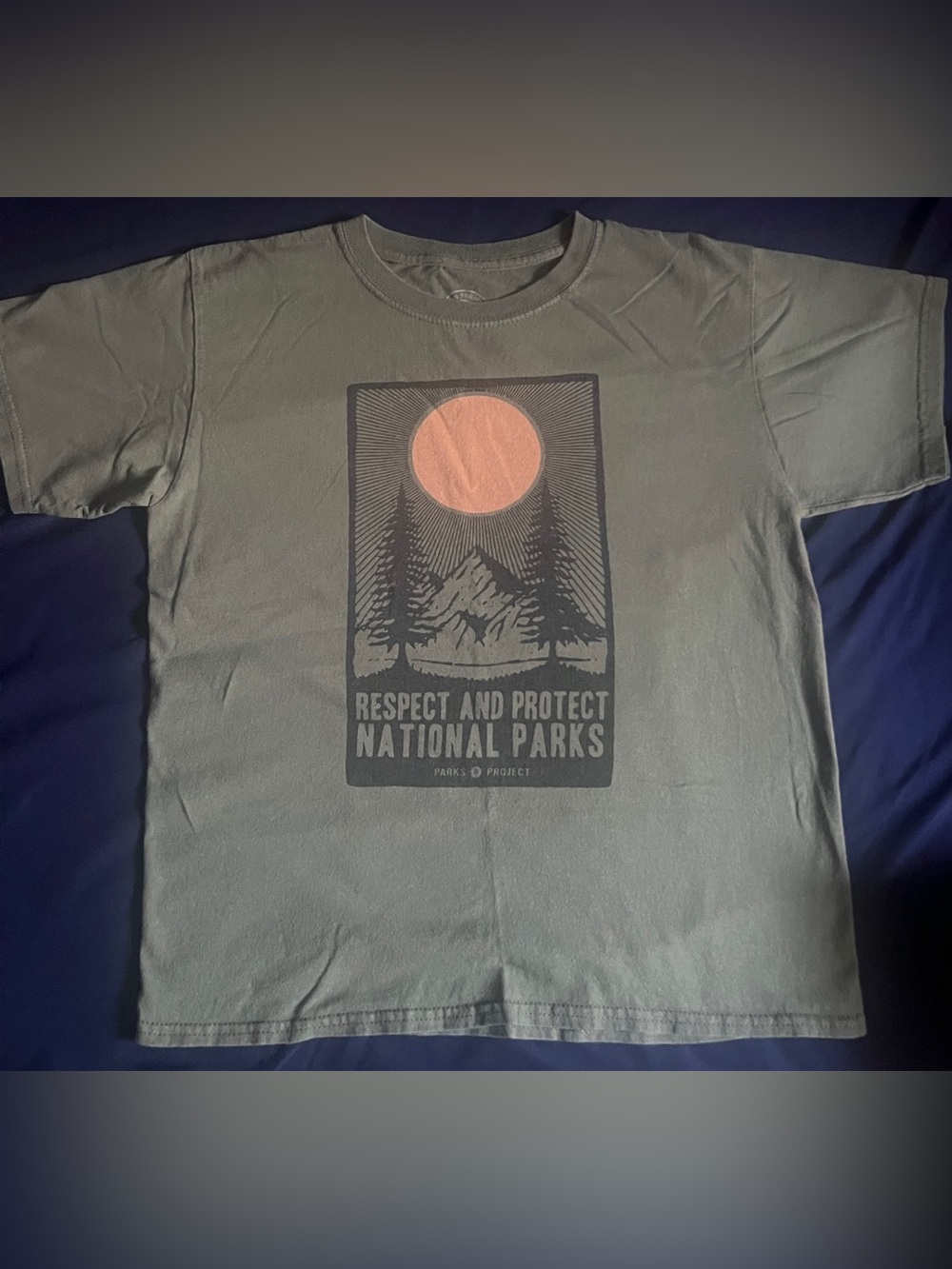 Parks Project Mountains, Pines & Sun “ Respect and Protect National Parks”-Green